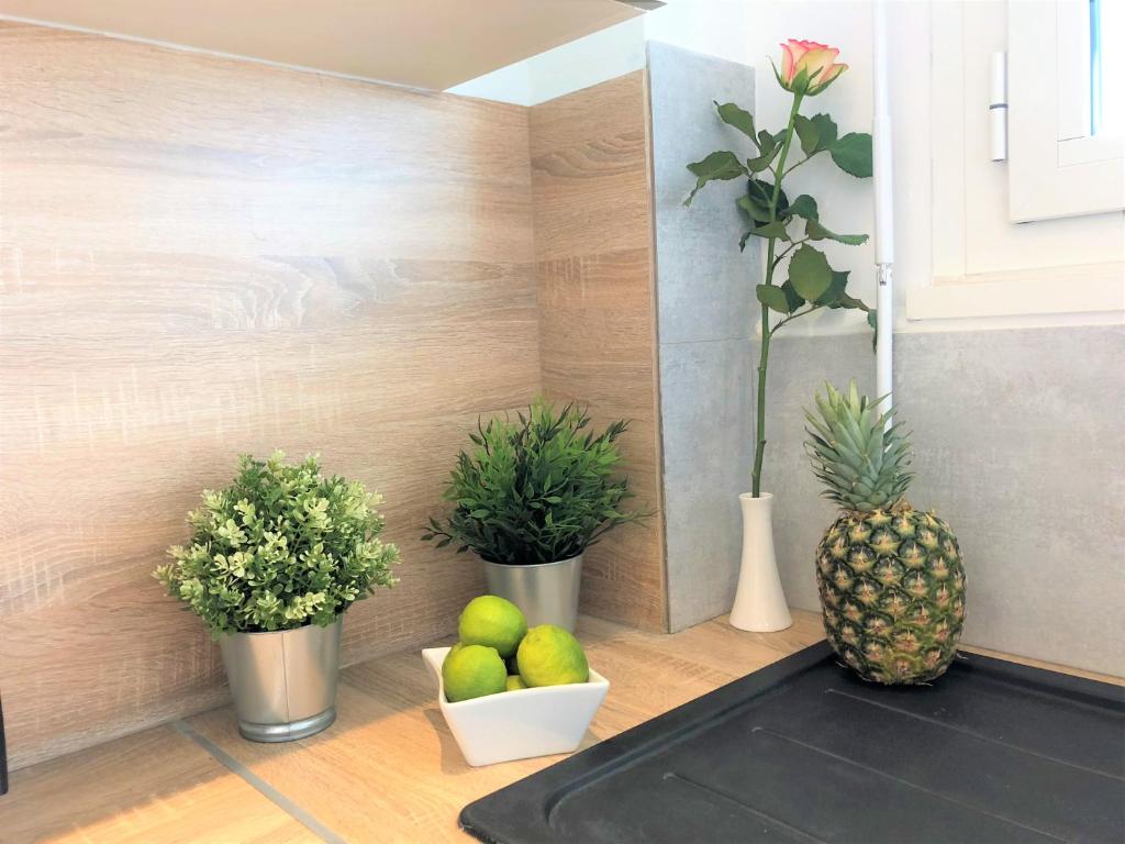 a kitchen with potted plants and fruit on a counter at Appartement Cosy Calme Central-Terrasse Proche Palais in Cannes