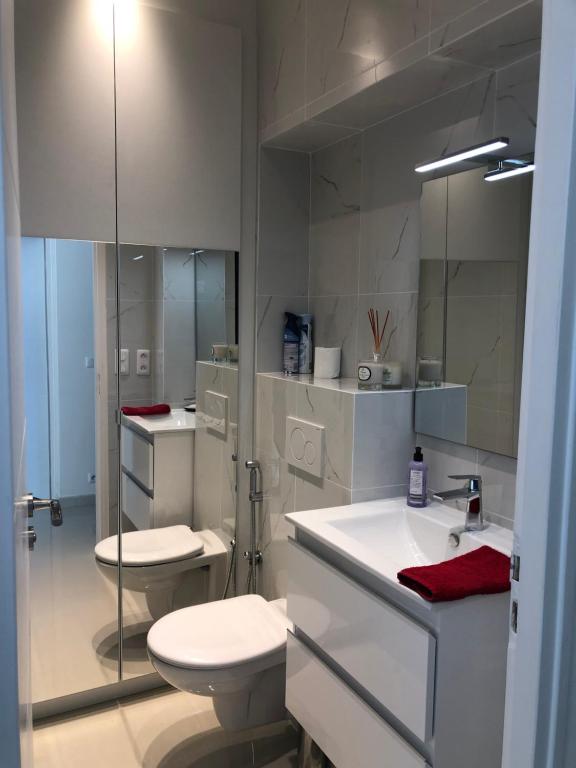 a bathroom with two toilets and a sink and a mirror at Magnifique Appartement Vue Mer in Vallauris