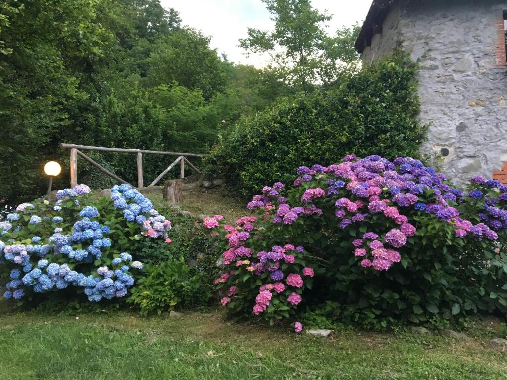 A garden outside Relax totale nel Bosco Lucca