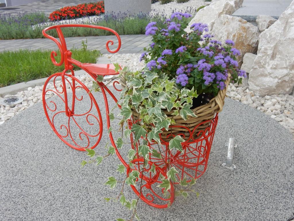 Zahrada ubytování Frühstückspension Lach