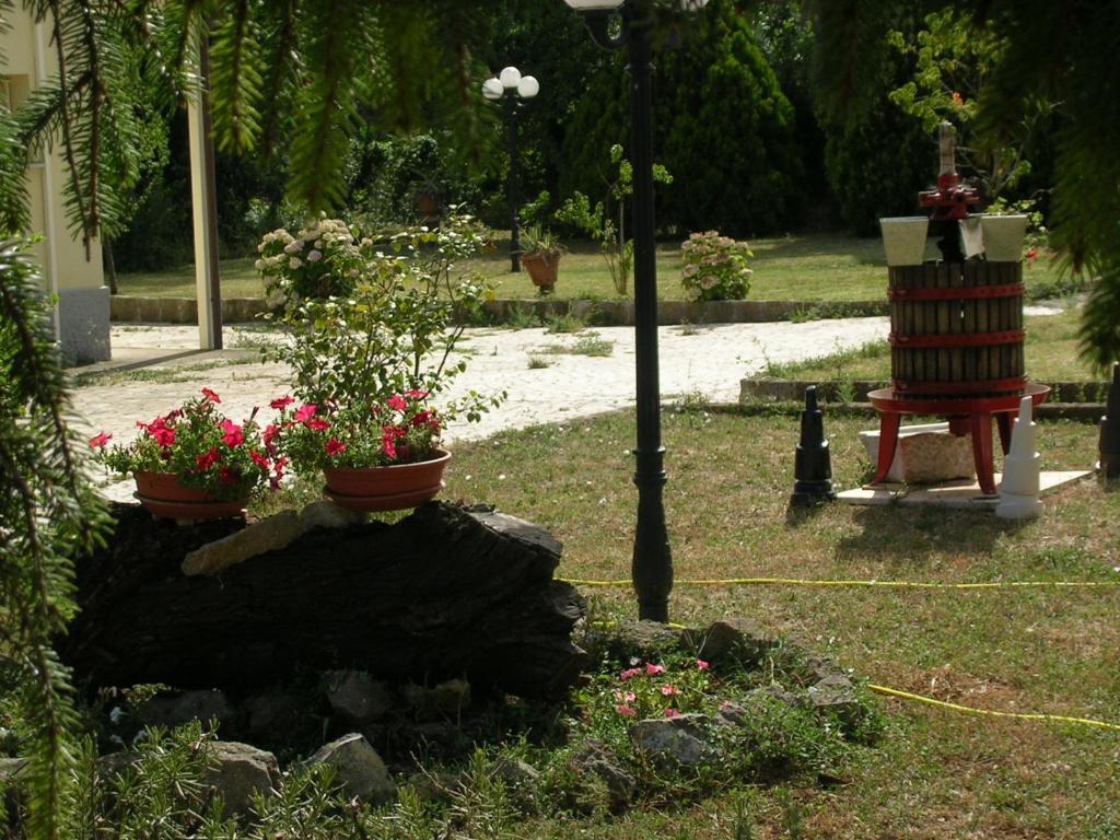 Ogród w obiekcie Guest house Il Nido