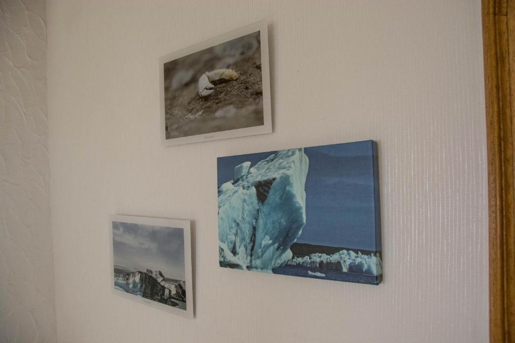 Fotografie z fotogalerie ubytování Landhotel Sonneneck - Breuna im Naturpark v destinaci Breuna