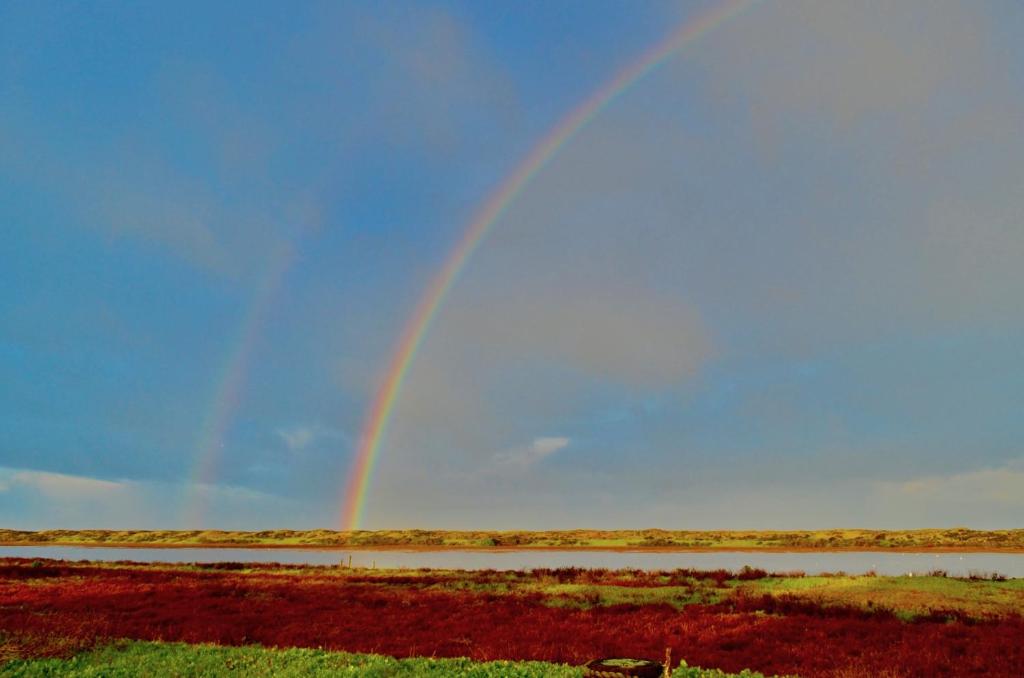 Captain's Inn at Moss Landing photo