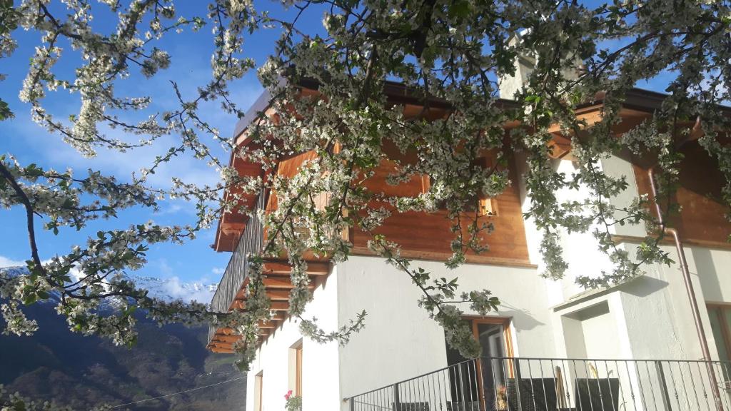 Budova, kde se bed and breakfast nachází