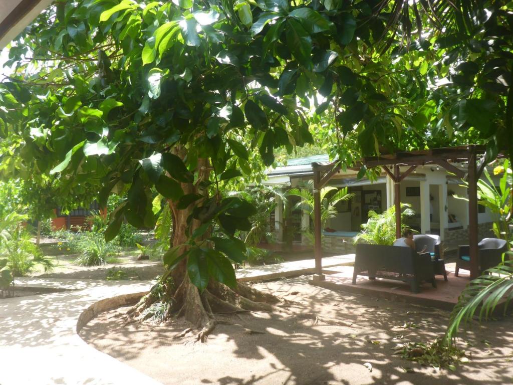 Zahrada ubytování Aracari Garden Hostel