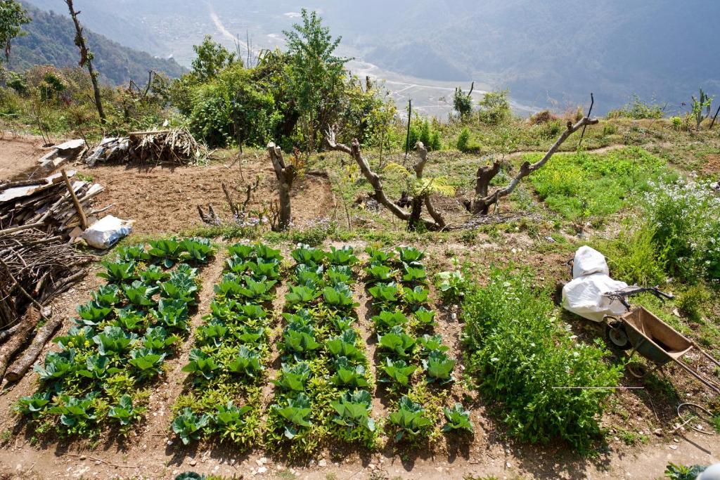 Giardino di Annapurna Eco Village