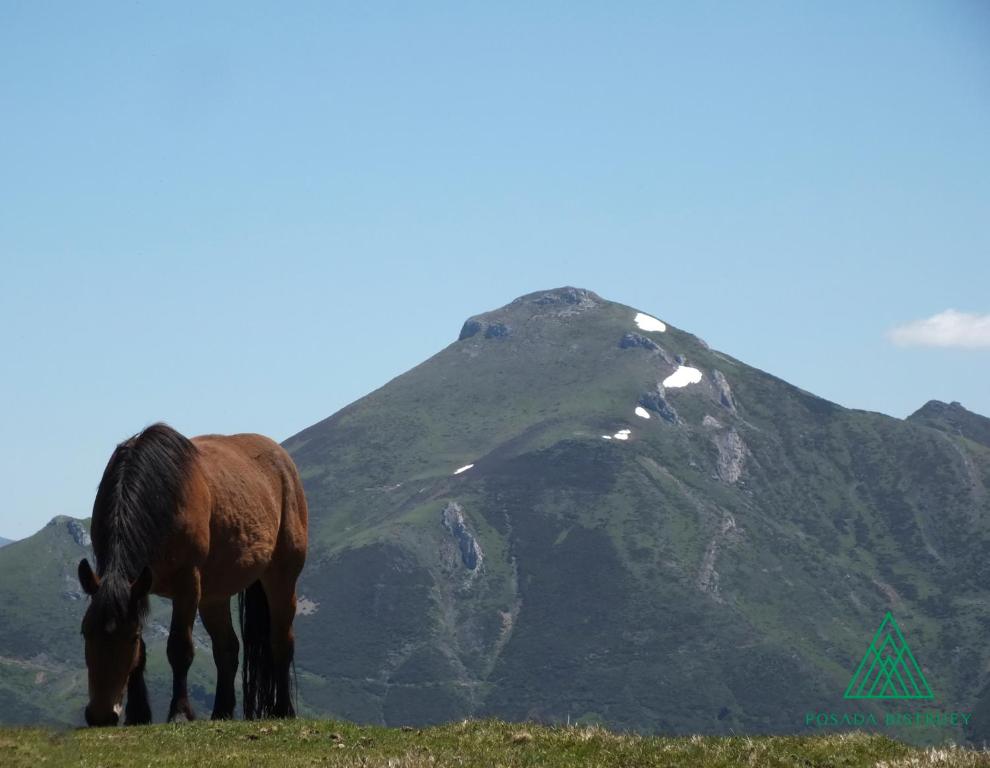 Posada Rural Bistruey - 10