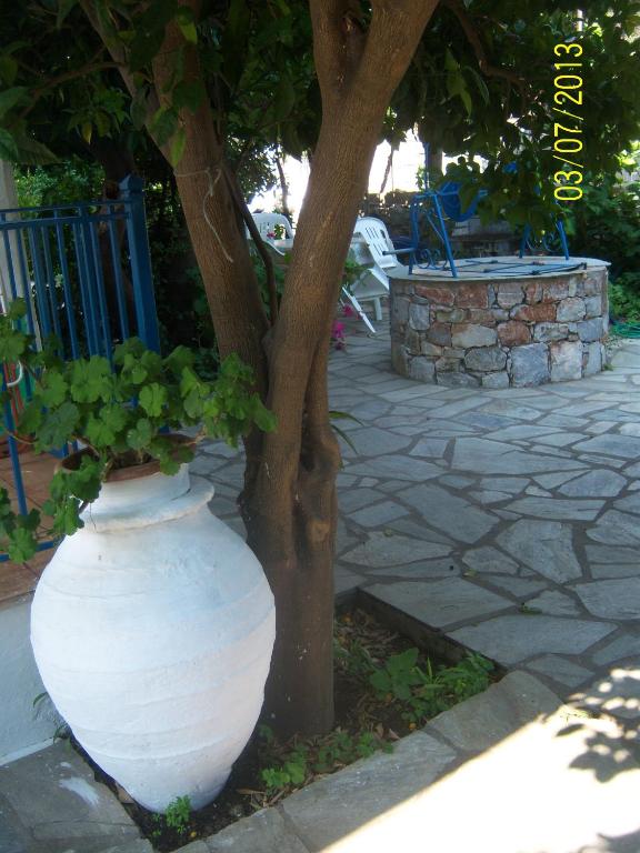 Fotografia z galérie ubytovania Smile Stella Studios v destinácii Skopelos