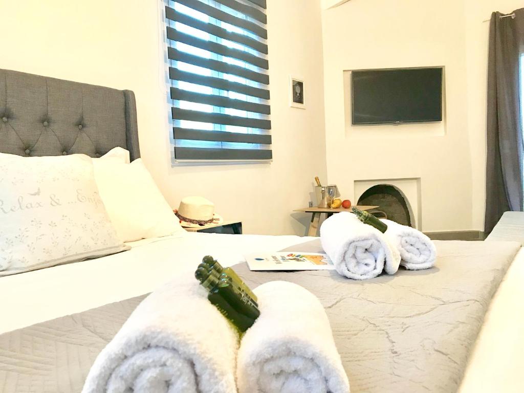 Televízia a/alebo spoločenská miestnosť v ubytovaní RIQIONIAN House