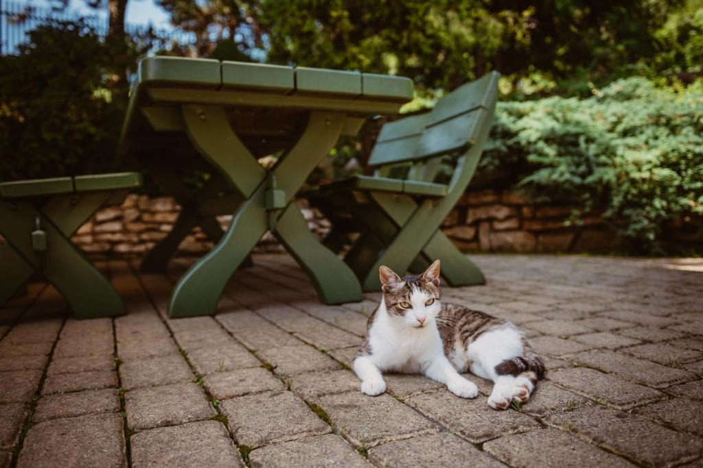 Zajazd Srebrna Gora - Resim 26