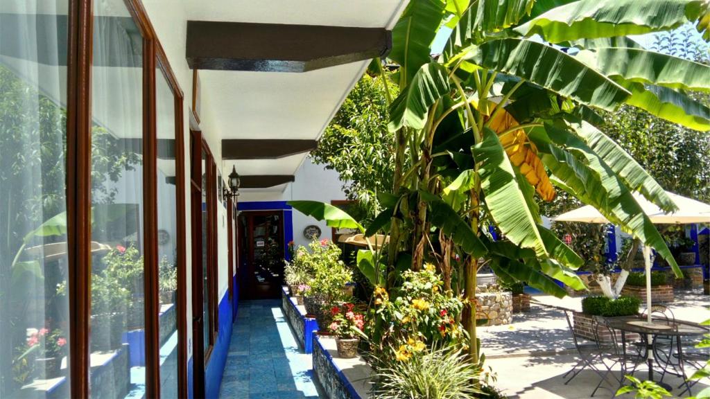 Giardino di Hostal Plaza Central