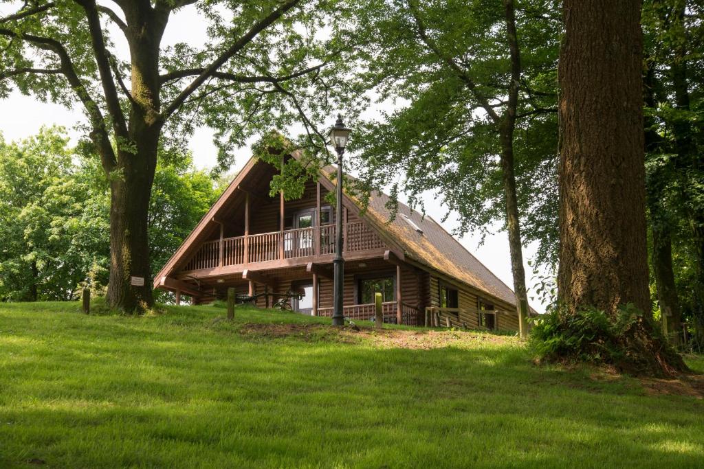 una cabaña de madera en medio de un campo con árboles en Pantglas Hall Holiday Lodges and Leisure Club en Carmarthen