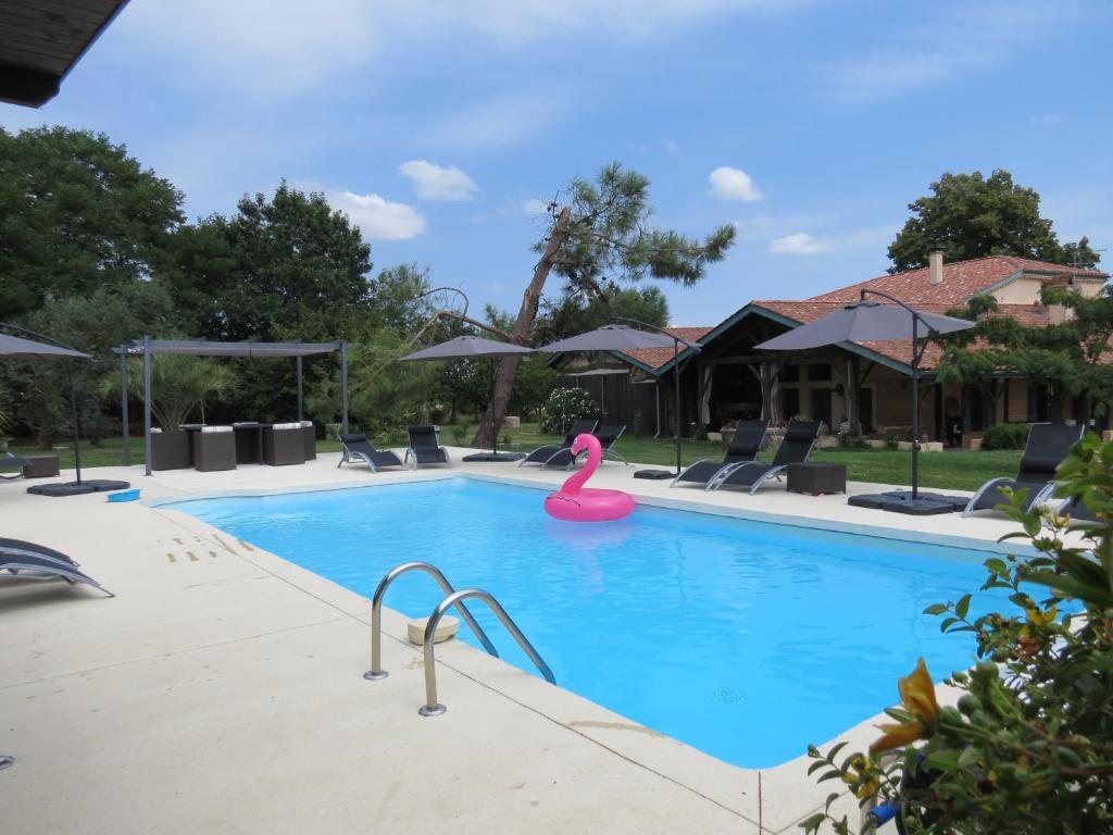 a swimming pool with a pink swan in the middle at Les Terrasses des Mimosas in Caumont-sur-Garonne