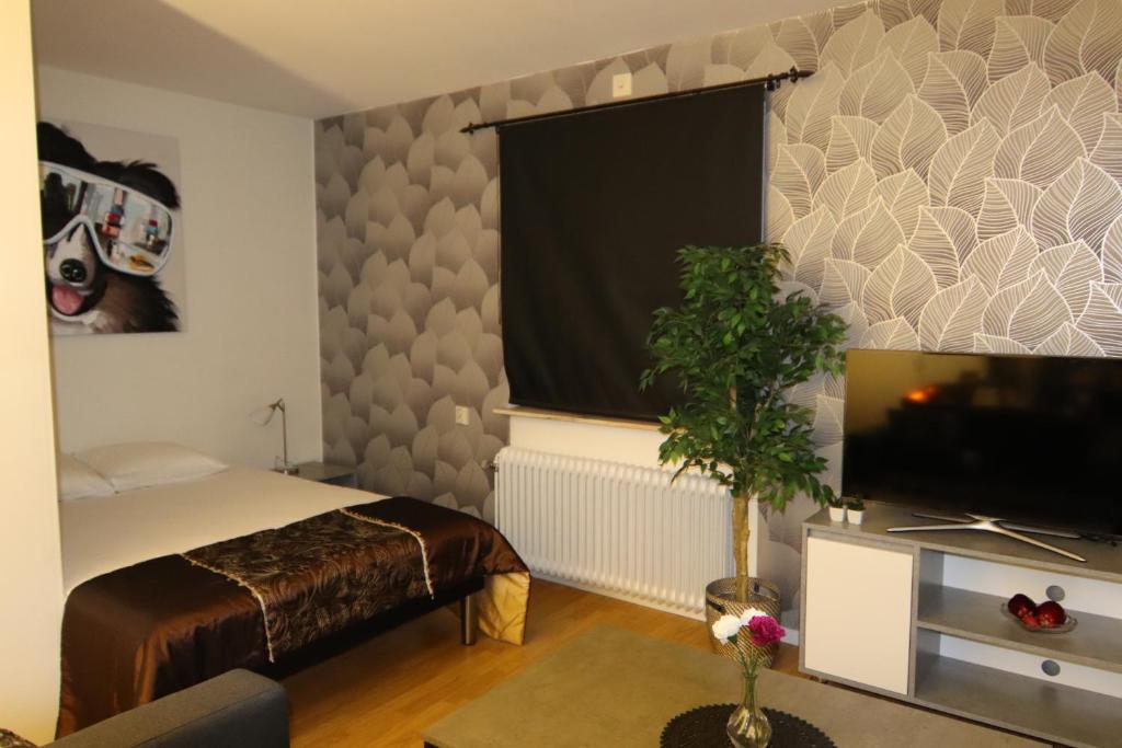 una camera con letto, finestra e televisore di Studio Apartment a Karlshamn