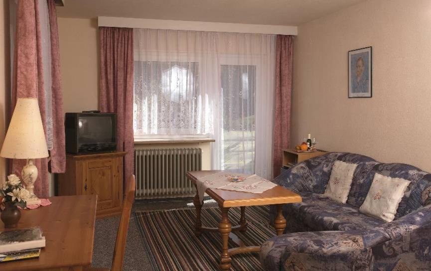TV a/nebo společenská místnost v ubytování Hotel-Pension Thomé