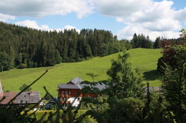 Příroda nedaleko hotelu