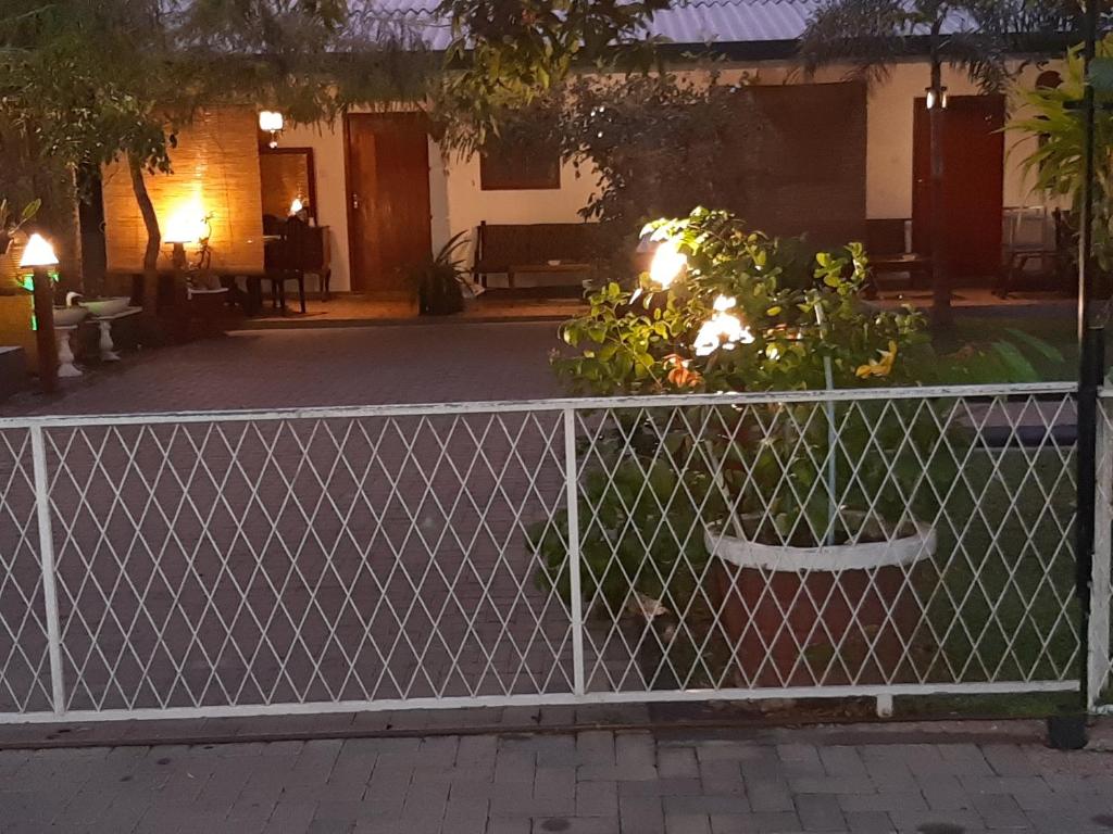 Zahrada ubytování Villa 67