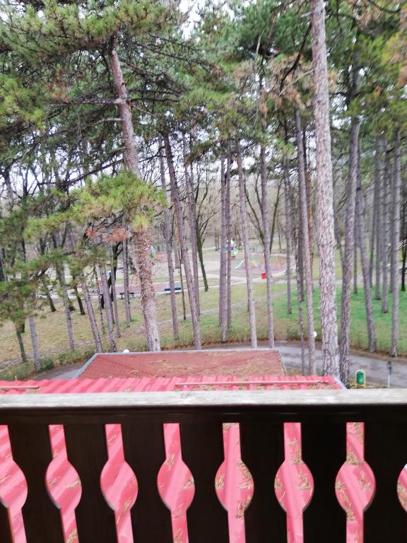 Zahrada ubytování Hotel Les