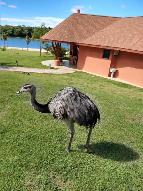  Malai Resort-Cotista Acomodações 4 hosp