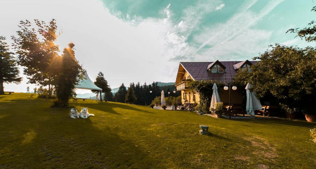 Zahrada ubytování Guesthouse Smogavc