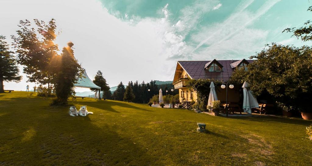 two dogs sitting in the grass in front of a house at Guesthouse Smogavc in Zreče