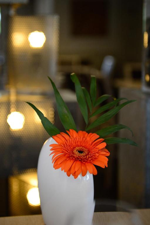 Fotografie z fotogalerie ubytování Logis La Lentillere - Restaurant Côté Parc v destinaci Lalacelle