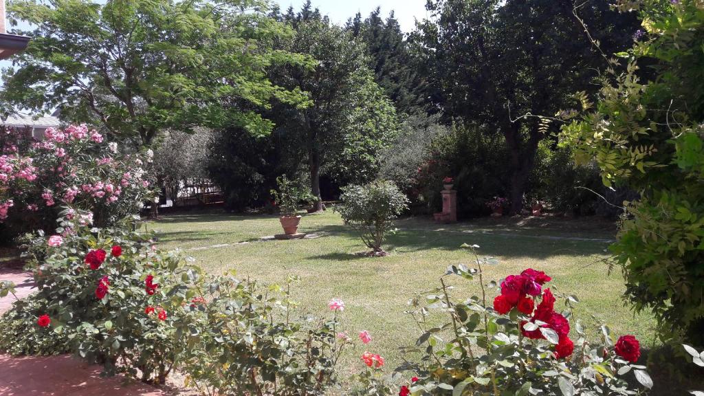 a garden with red roses in the grass at Villa Fabbri in Gradara