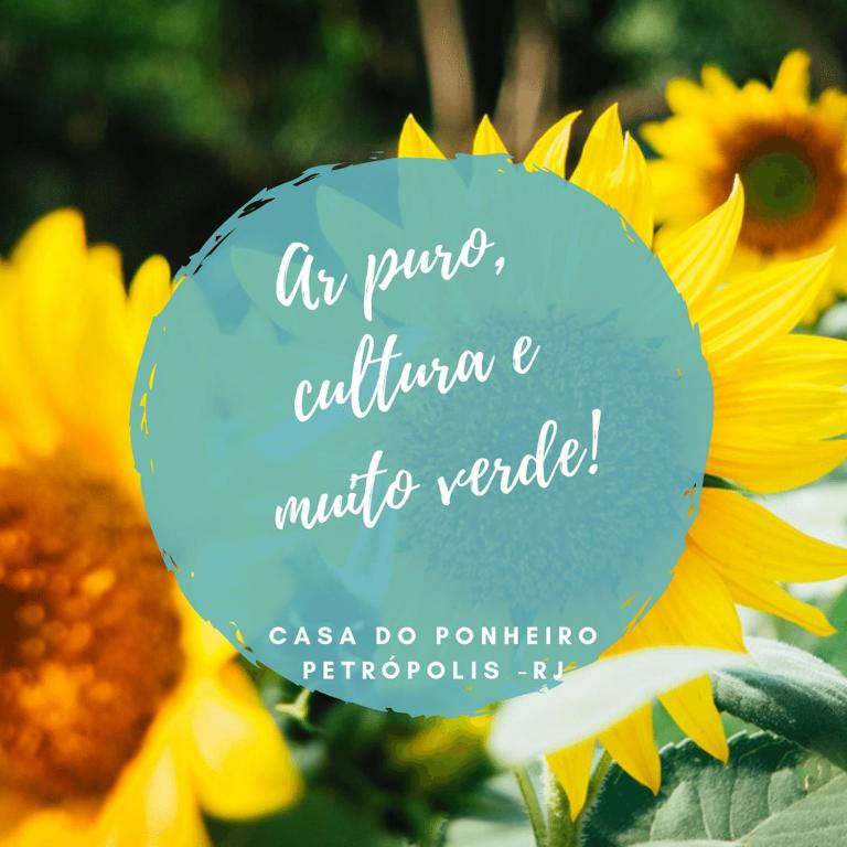  Casa do Pinheiro