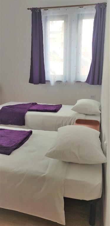 Coroian House - Double Or Twin Room With Private Bathroom