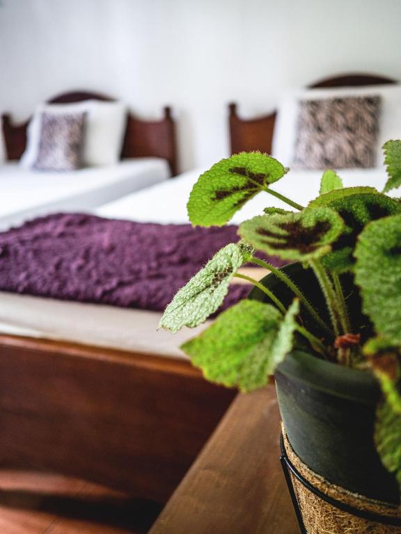 Postel nebo postele na pokoji v ubytování Holiday Stay Inn
