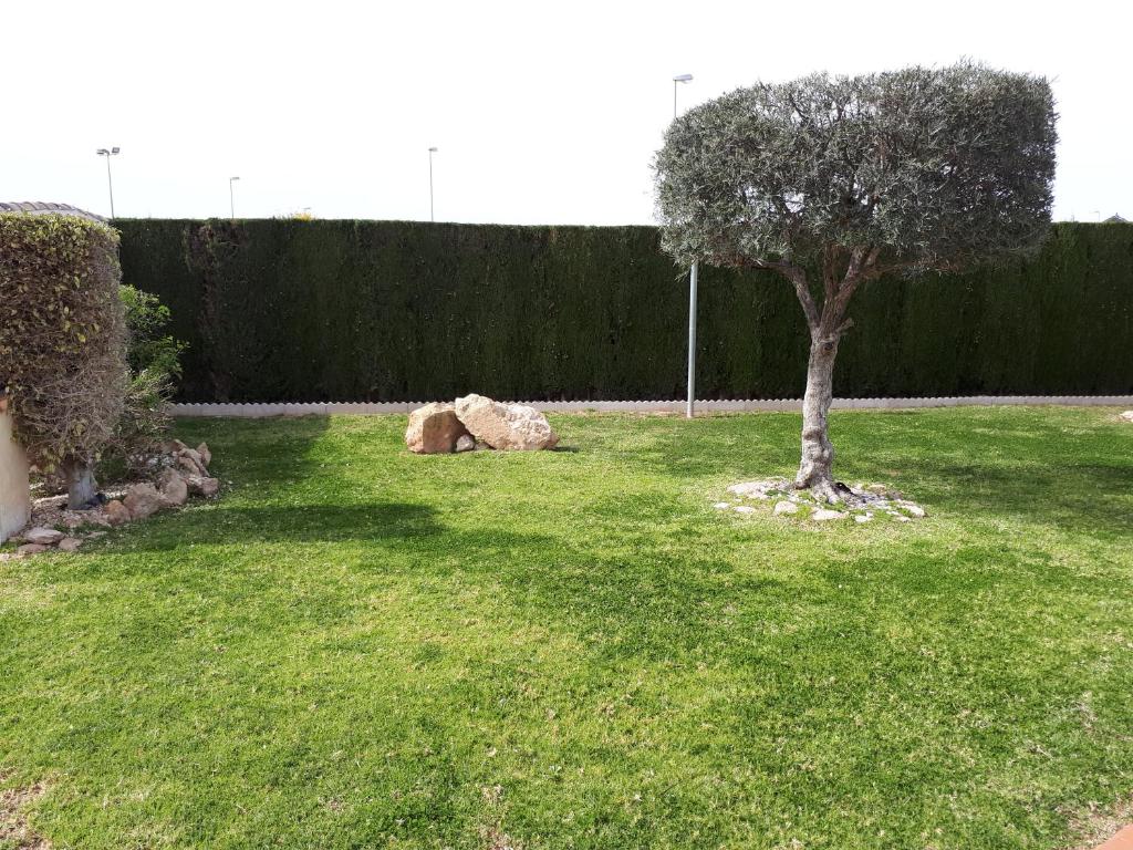 Fotografie z fotogalerie ubytování Spanische Bungalow in Kurort v destinaci Orihuela