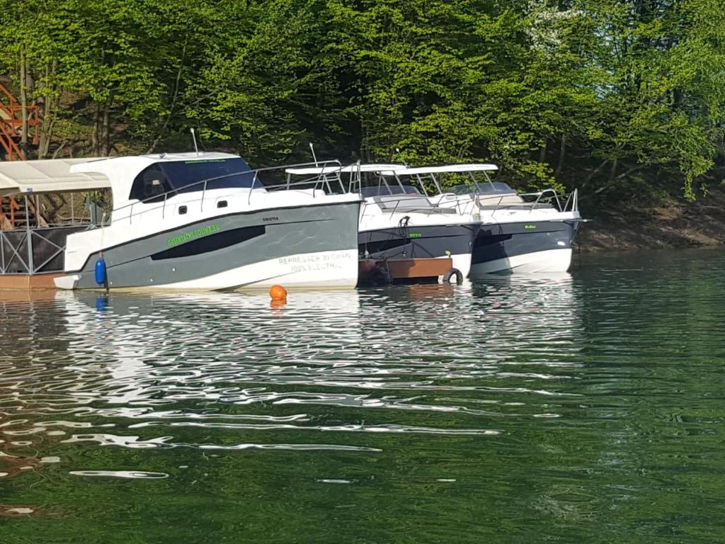 a white boat is docked in the water at Czarter Jachtów Bez Patentu in Polańczyk