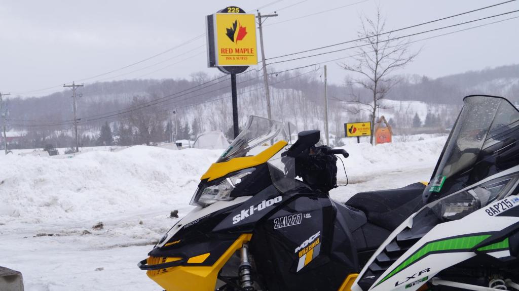 red maple inn and suites during the winter
