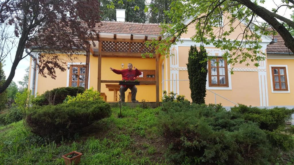 Zahrada ubytování Boronaház Fogadó