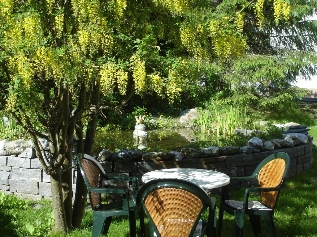 Zahrada ubytování Hotel Ambiente