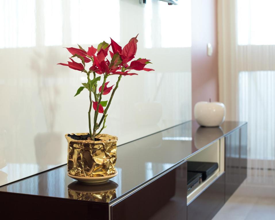 Apartment Amalfi - 8