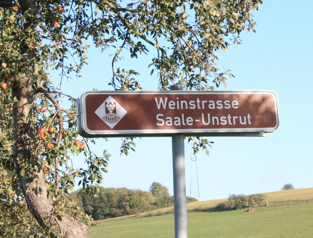 Příroda nedaleko hotelu