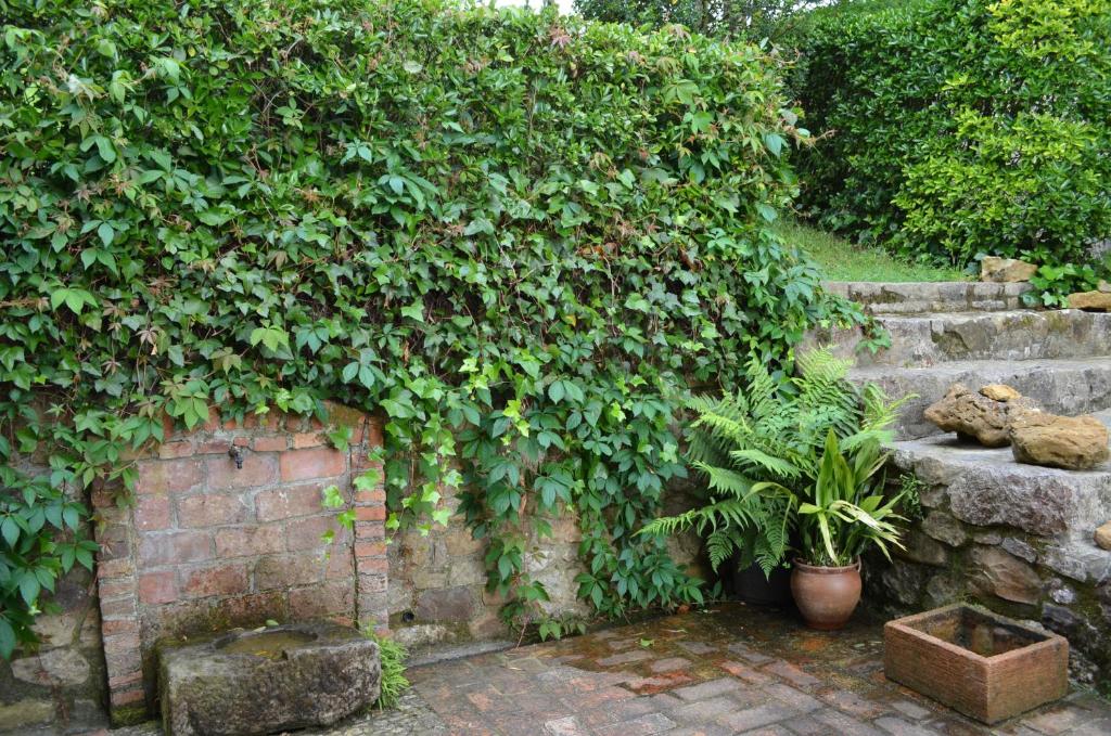 A garden outside Casa Rural El Bellucu