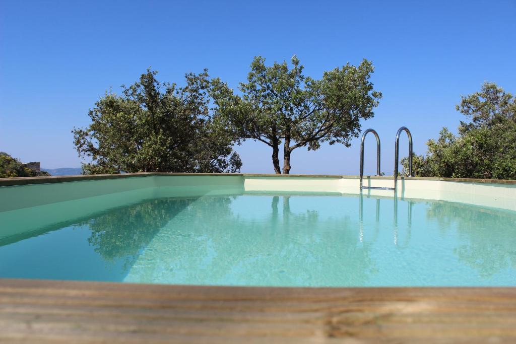 une piscine avec un arbre en arrière-plan dans l'établissement Maison d'Edouard, Le Petit Drômois, à Mérindol-les-Oliviers