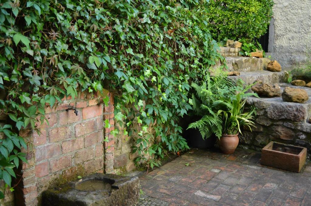 A garden outside Casa Rural El Bellucu