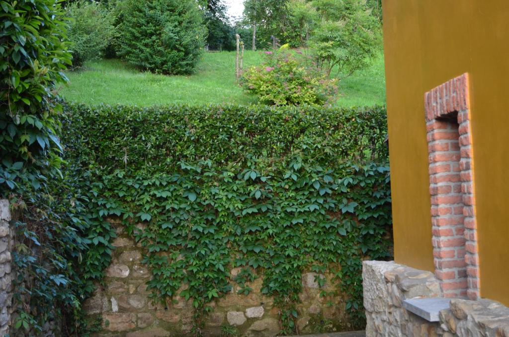 A garden outside Casa Rural El Bellucu