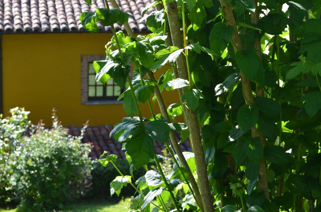 A garden outside Casa Rural El Bellucu
