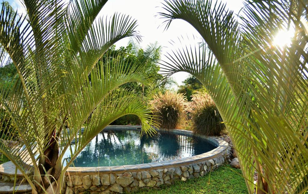 a swimming pool with palm trees in a yard at Chobe River Cottages in Kasane