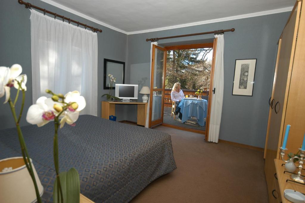 TV a/nebo společenská místnost v ubytování Hotel Des Geneys