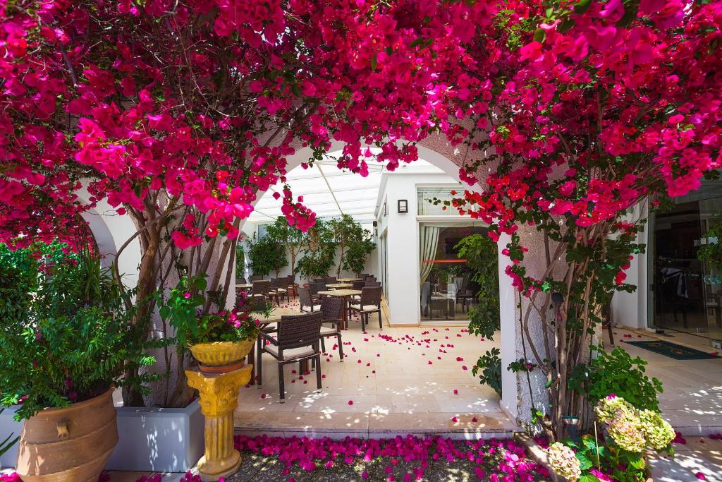 Zahrada ubytování Kyparissia Beach Hotel