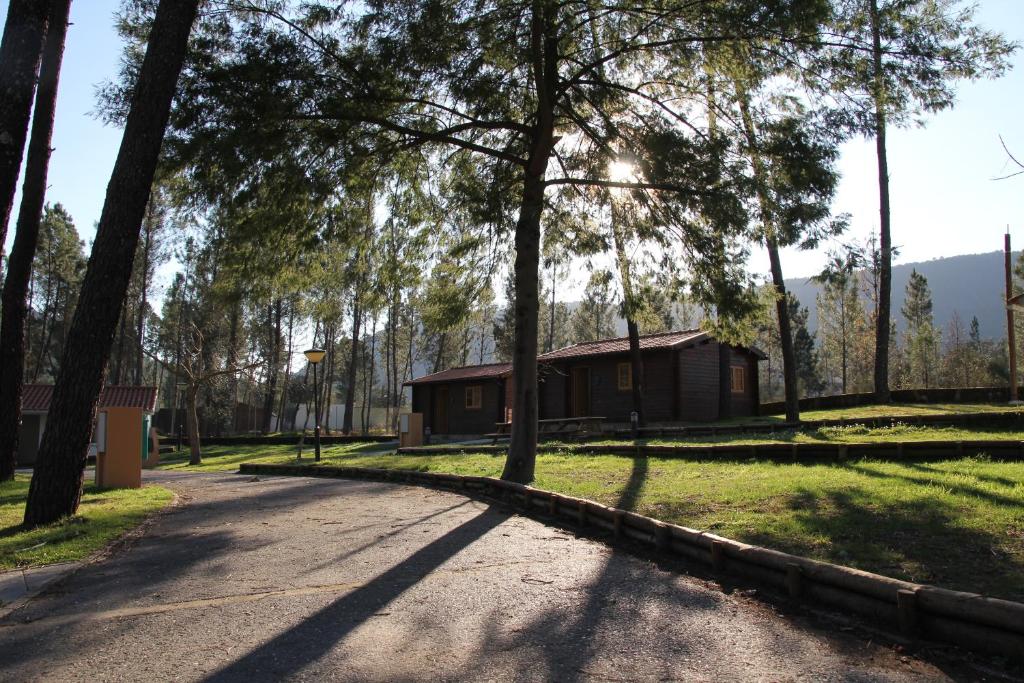 Příroda nedaleko kempu