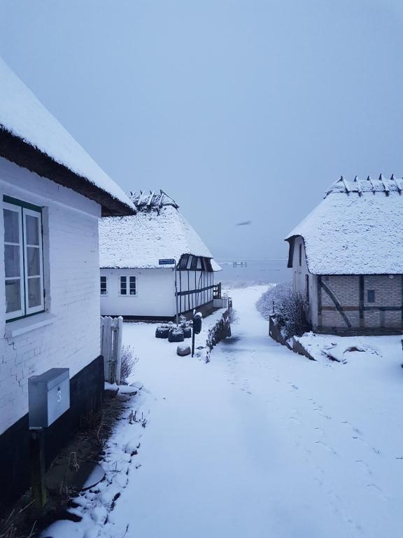Tinyhouse Thorøhuse - Habitación Doble Con Vista Al Parque