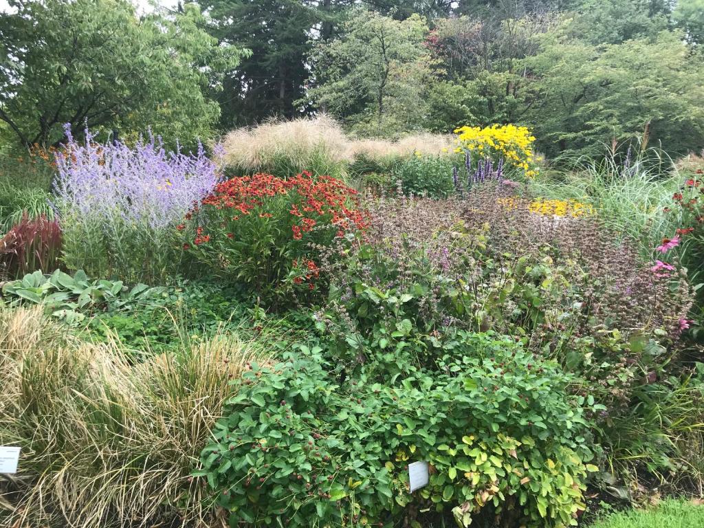 Ewa & Maude Hotel - Resim 31