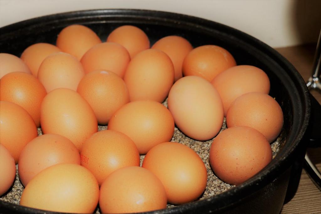 Hotel Hamburg Stadtzentrum - Resim 20