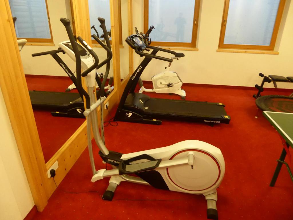 Fitness centrum a/nebo fitness zařízení v ubytování Sporthotel Rasen